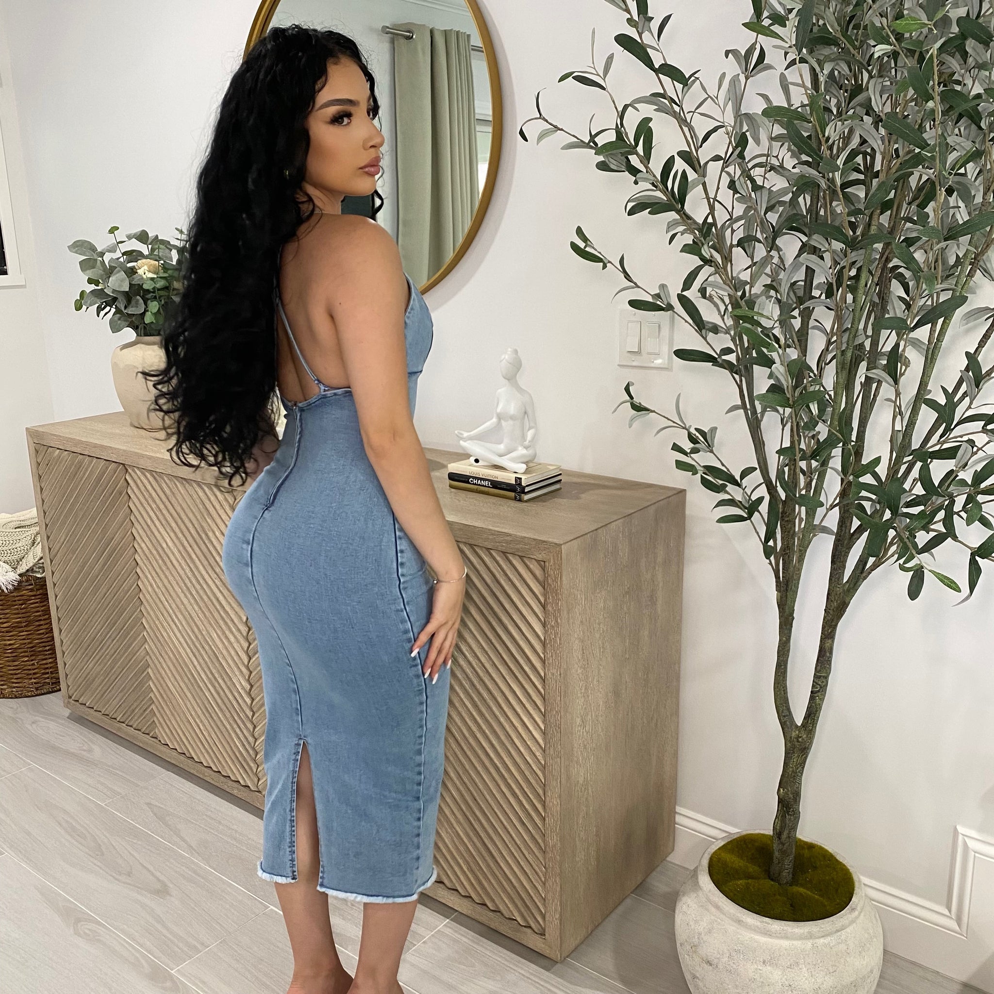 Luna Denim Dress – DULCETMIA